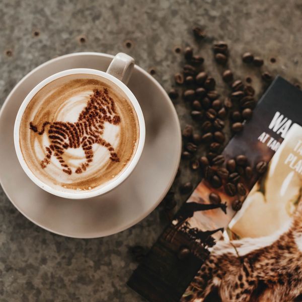 Eating Out - Zoo Cafe and Bar