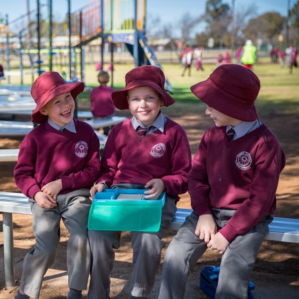 Live - Dubbo Christian School