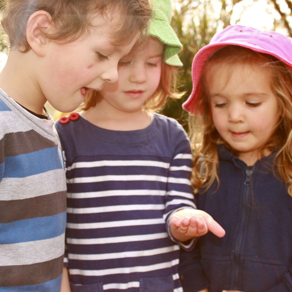 Live - Rainbow Cottage