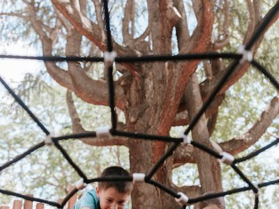 VISIT BUSINESSLISTING Cameron Park Spiderweb
