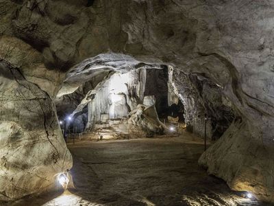 VISIT BUSINESSLISTING Wellington Caves Cathedral