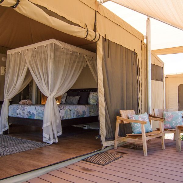 Accommodation - Dubbo Rhino Lodge