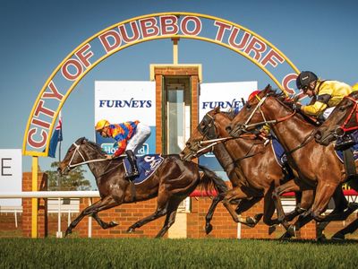 VISIT_BUSINESSLISTING_DubboTurfClub2019