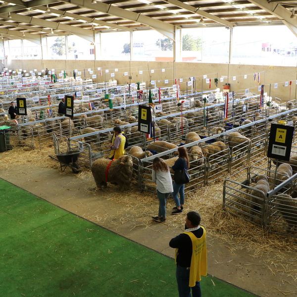 EVENT CATEGORY Agricultural Events New