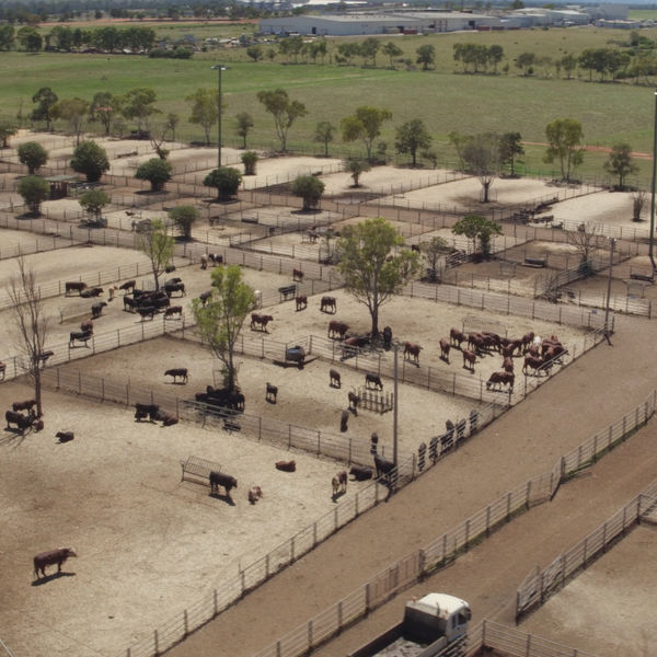 Events • Dubbo Region