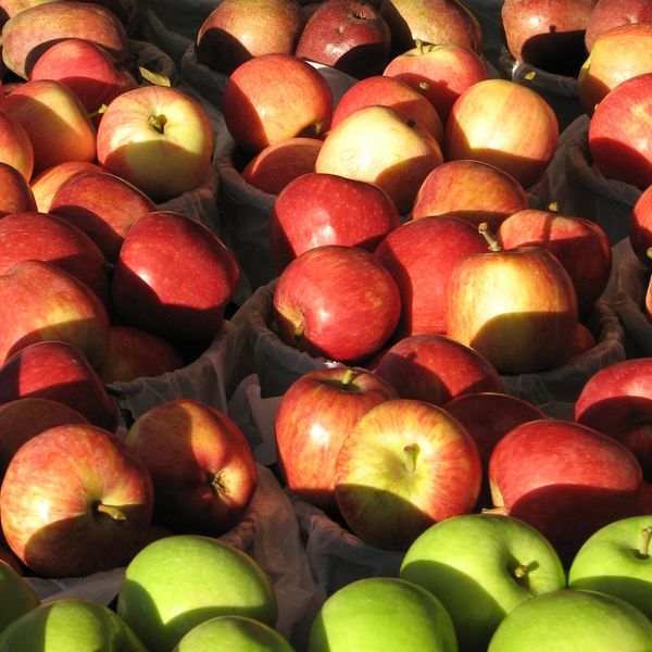 EVENTS Dubbo Farmers Market MONTHLY