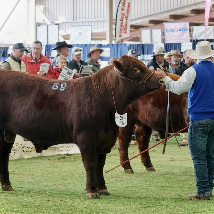 288578254 2355322944610174 2857287136509685169 n