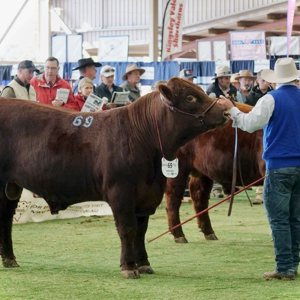 288578254 2355322944610174 2857287136509685169 n