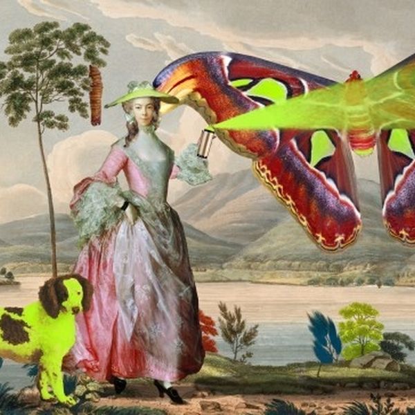 2017 008 OBJ COLMGMT RAW jpeg