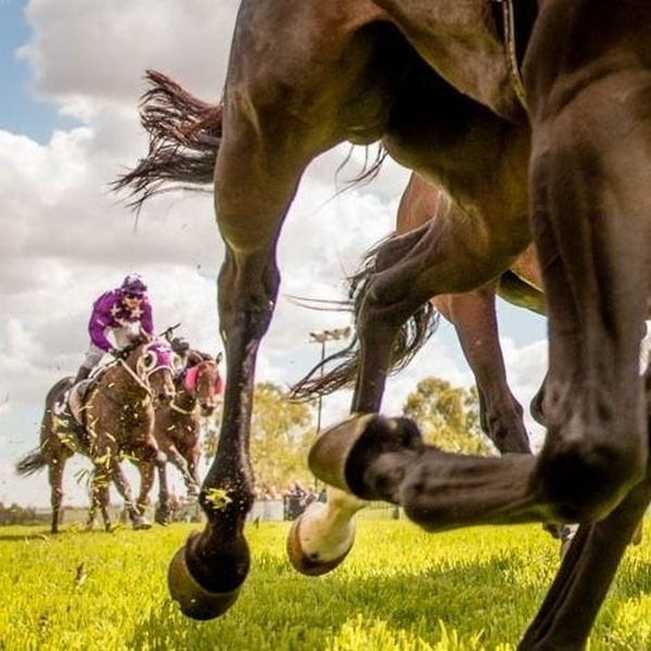 Dubbo Turf Club