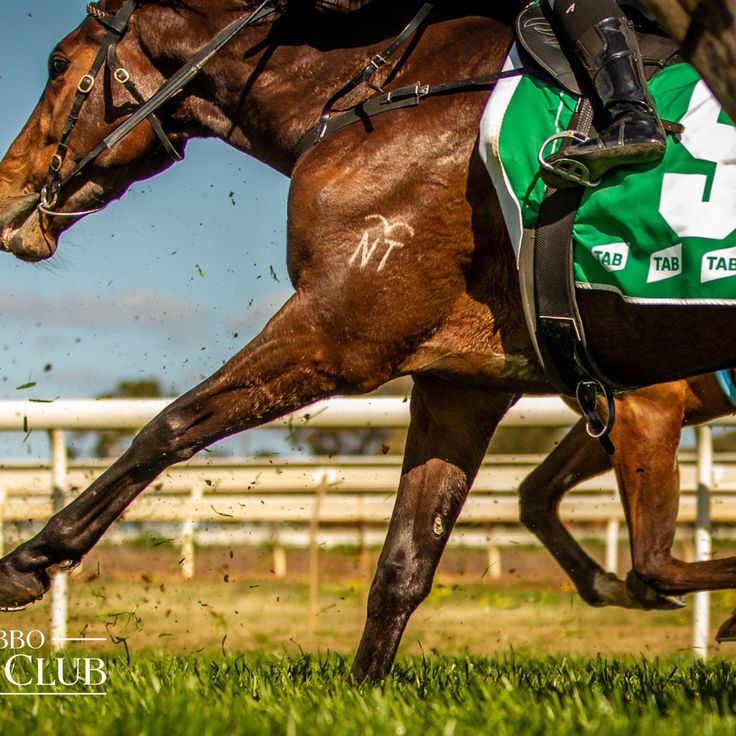 655596a87cfa9870d5c53516 1