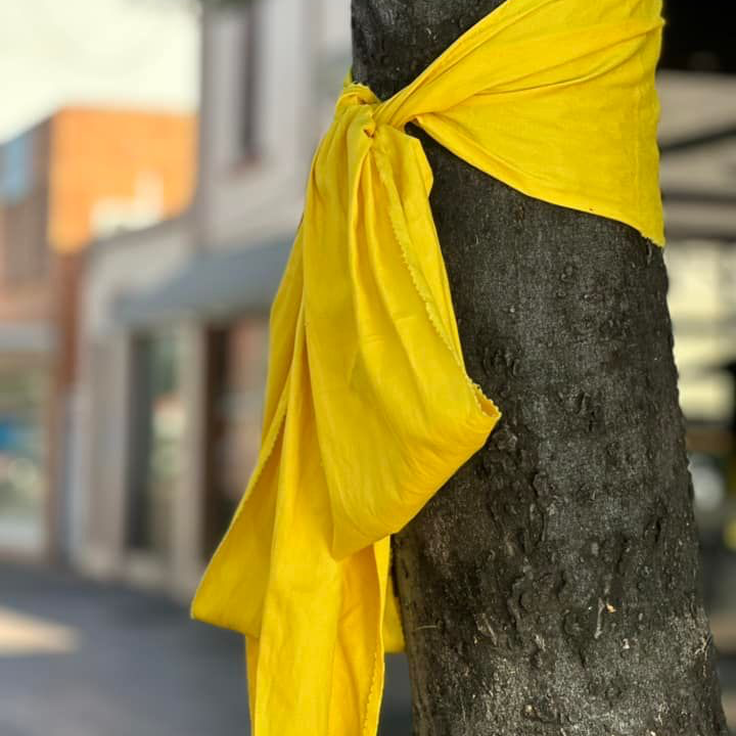 34747159 986 A 4 C06 8492 3741 BAE2 DA4 E 1