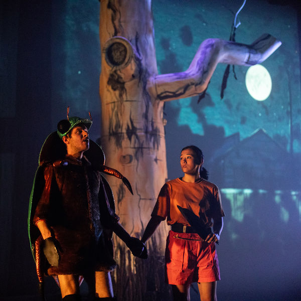 Beetle NAFA 0032 Credit Luke Mc Leod