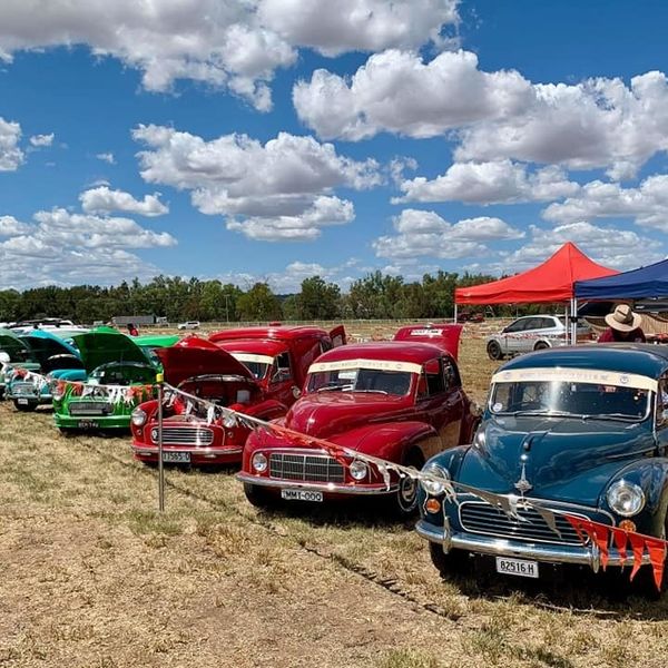 53048575 1920119554781383 1659800900497047552 n