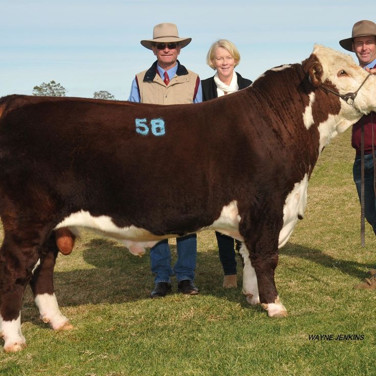 11270572 851993171522585 2765463127233354638 o