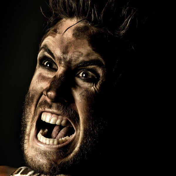 Tim Animal Farm HR 2013