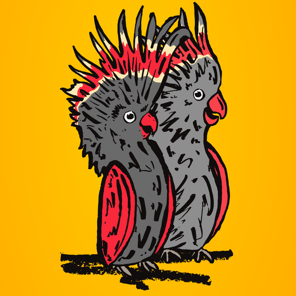 Melbourne comedy square