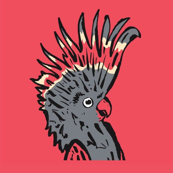 2026 MICFR Dubbo Region Events Page 1080x1080 1