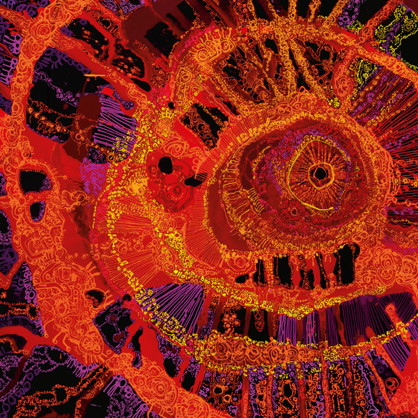 naidoc