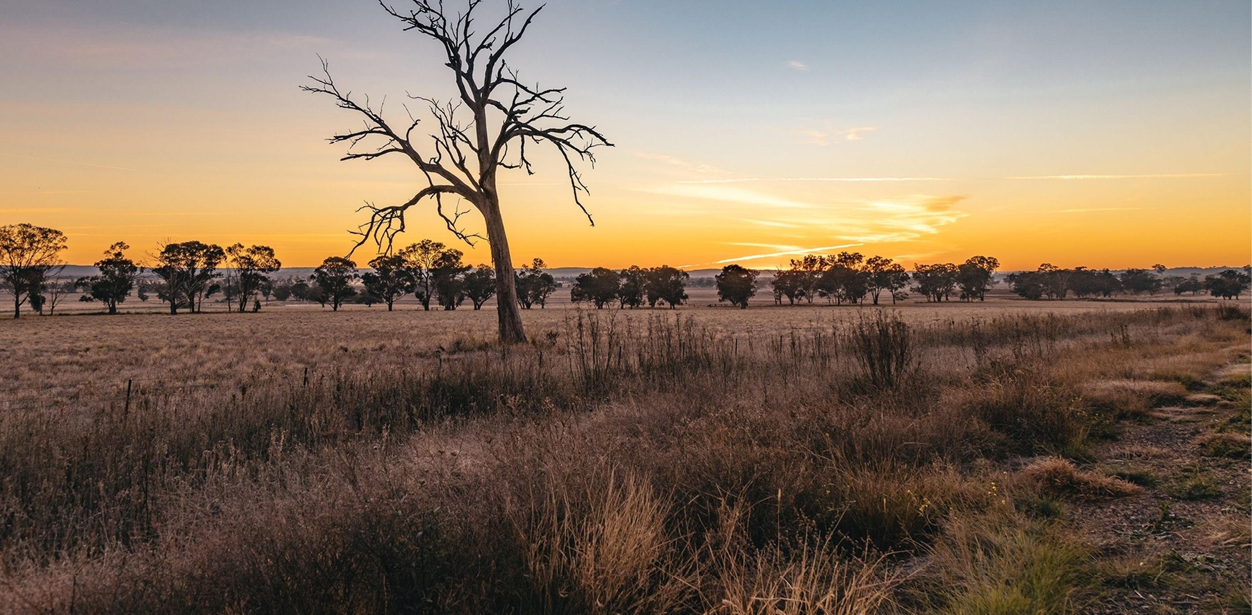 Tranquility in the Dubbo Region