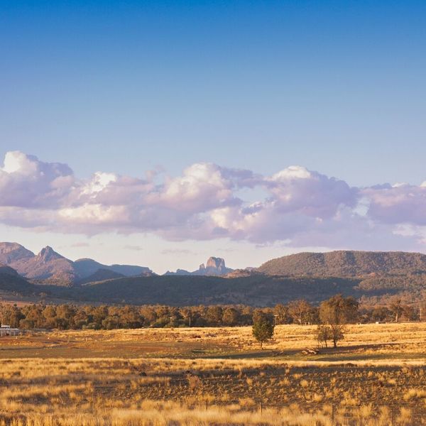 View towards Warrumbungle National Park