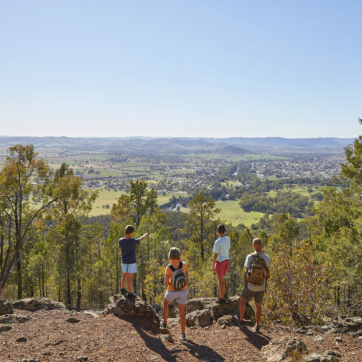 Family hiking on Mount Arthur Reserve near Wellington