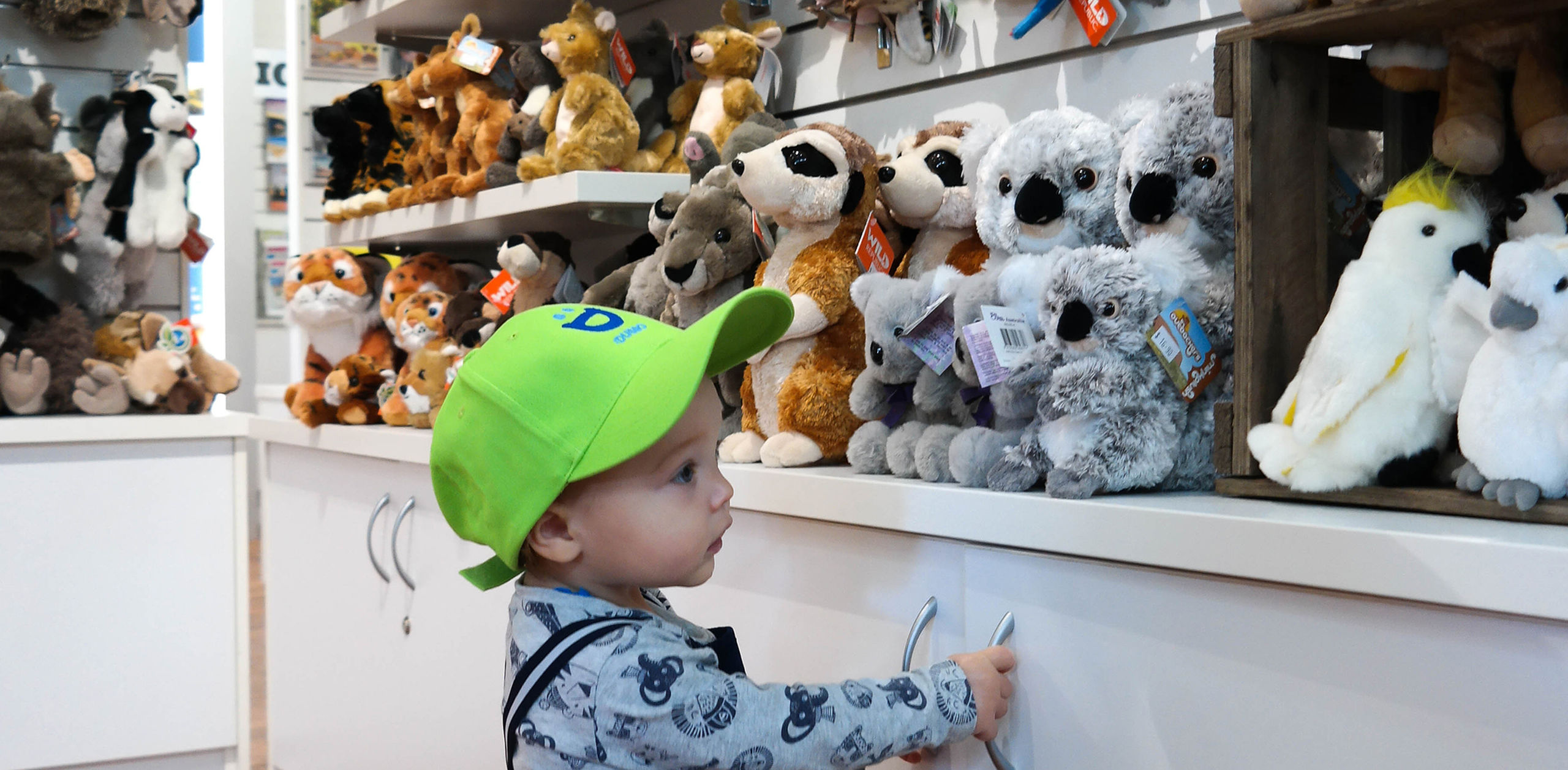 You'll find an array of treasures at our local Visitor Information Centres.