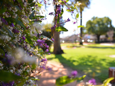 Enjoy an afternoon picnic in the prettiest park in the Region