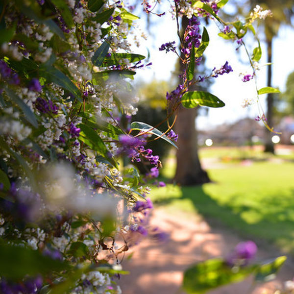 Enjoy an afternoon picnic in the prettiest park in the Region