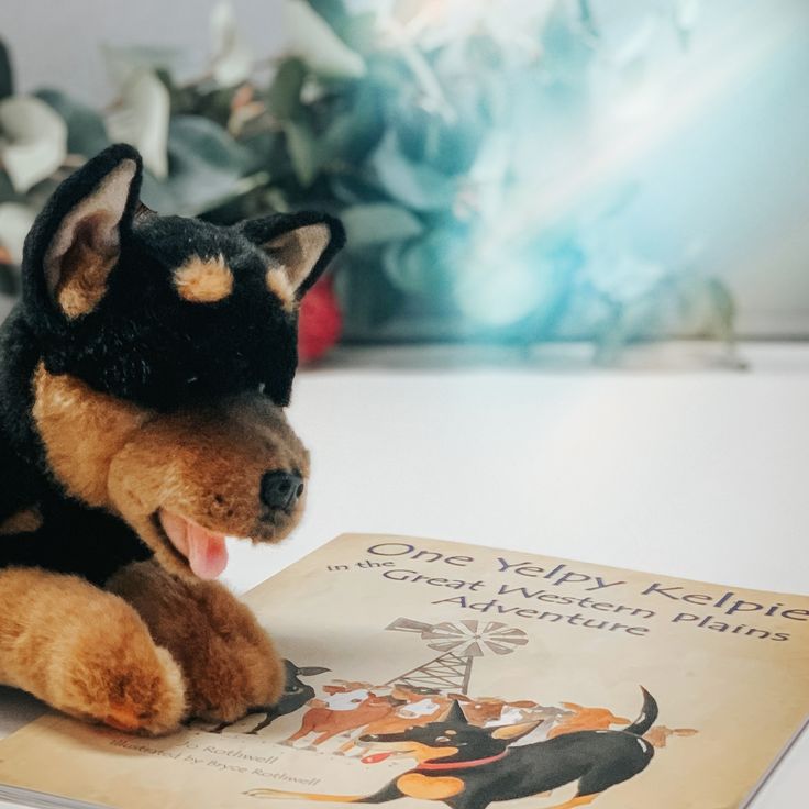 One Yelpy Kelpie Adventure in the Great Western Plains