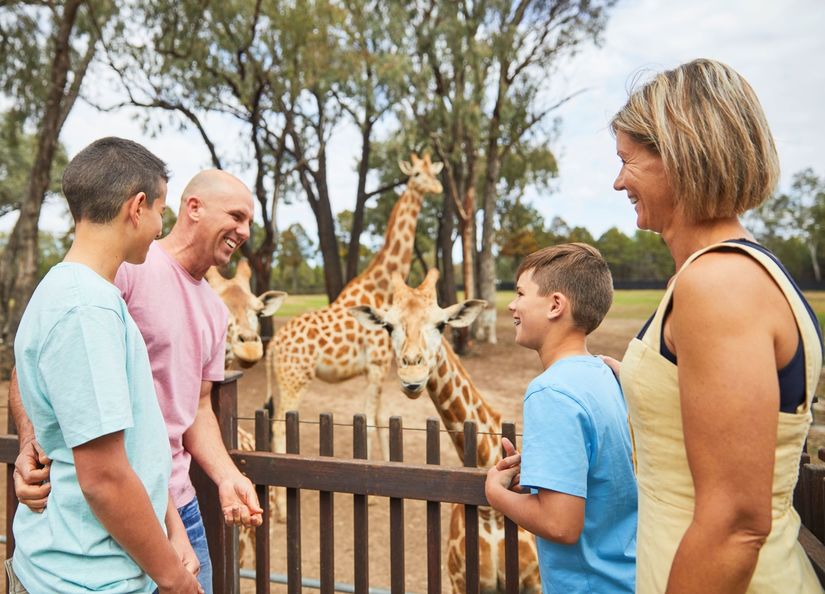 Itinerary - Greet A Giraffe At Taronga Western Plains Zoo