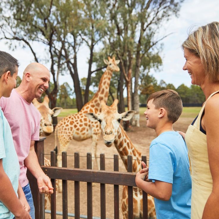 Itinerary - Greet A Giraffe At Taronga Western Plains Zoo