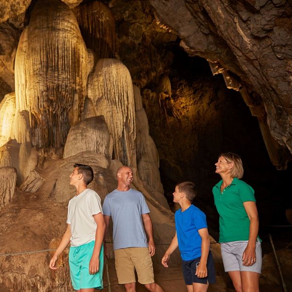 Itinerary - Discover The Wonder Underground At The Wellington Caves