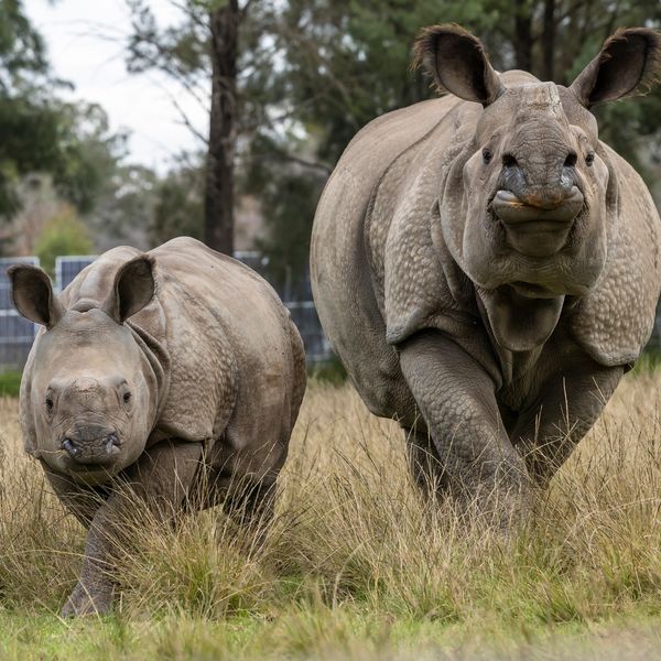 322870537 745666160606345 9063210812847485214 n