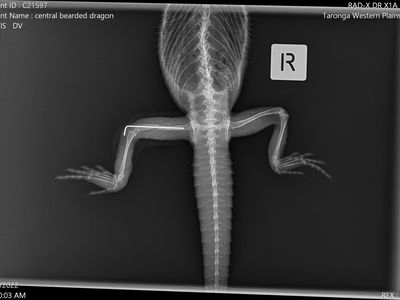 323923358 1528253664318231 1941381394613565815 n