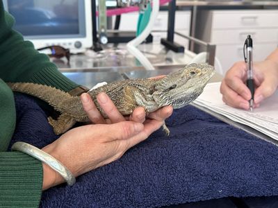 324015197 816862979388552 6263829639945187126 n