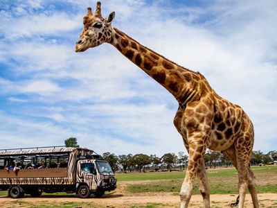 Savannah Safari tour at Taronga Western Plains Zoo