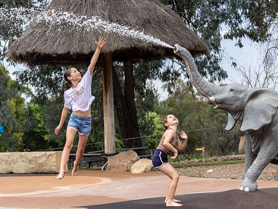 Waterhole Waterplay