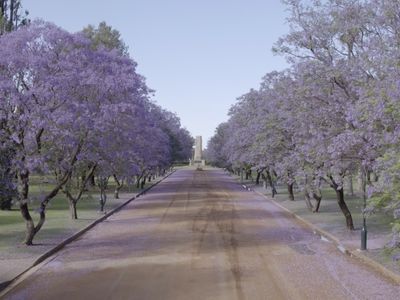 Victoria Park Drone