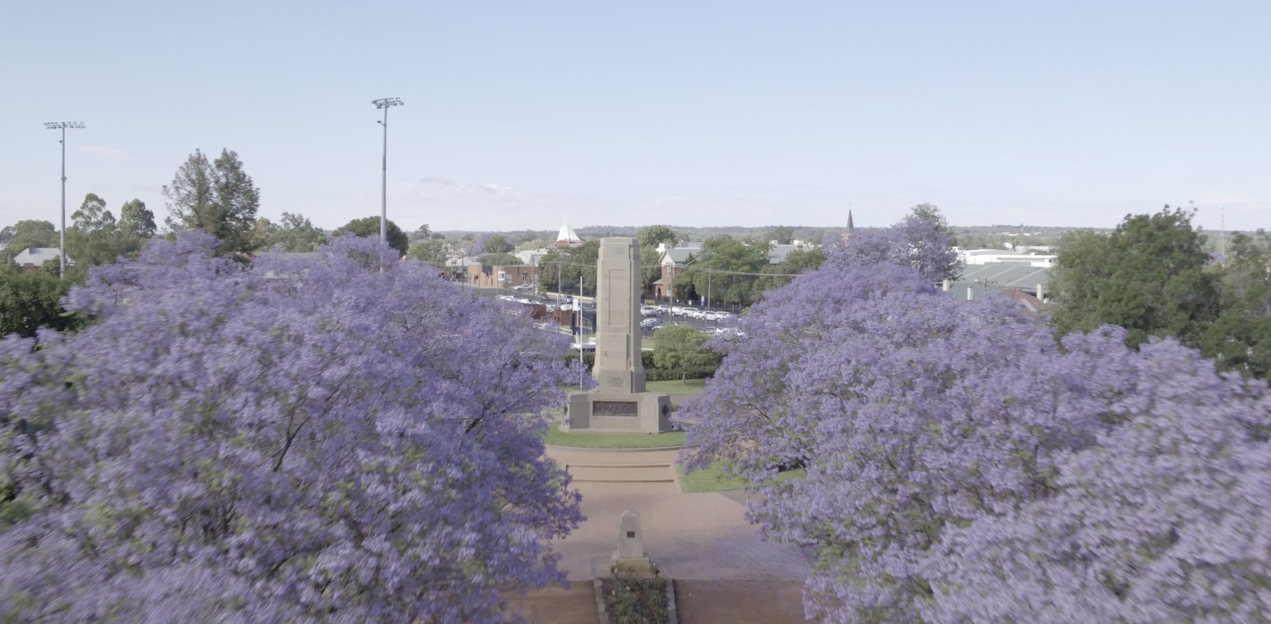 Vic Park Banner