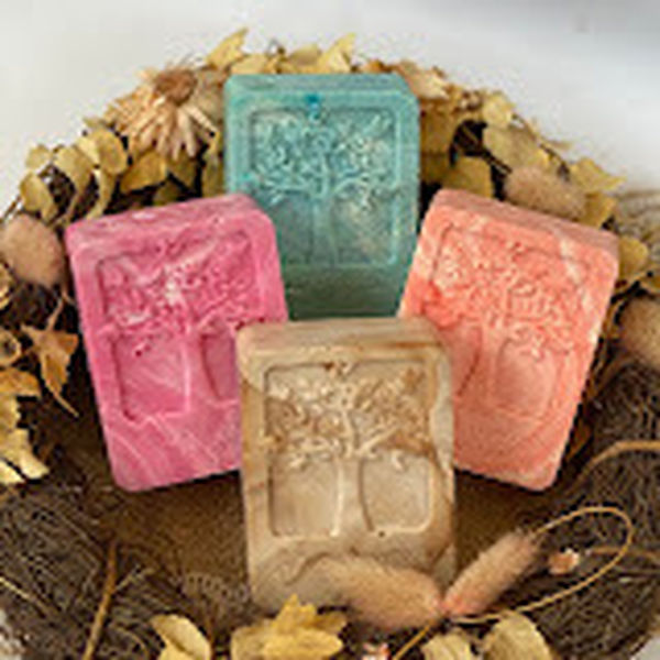 Janelles Soaps and Succulents