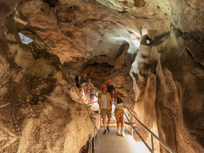 Wellington Caves Cathedral Cave Tour