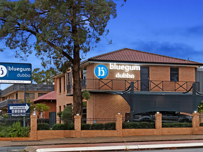 Bluegum Dubbo